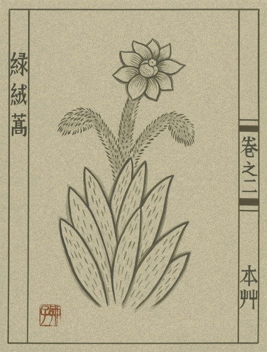 Loading Image