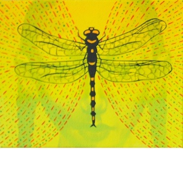 Loading Image