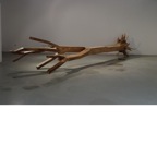 Song Jianshu 014