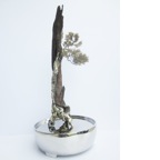 Guo zilong003